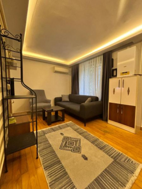 Cozy Garden-Level Apartment near Taksim